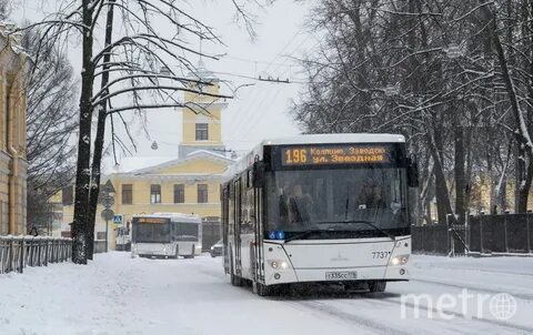 161 автобус спб