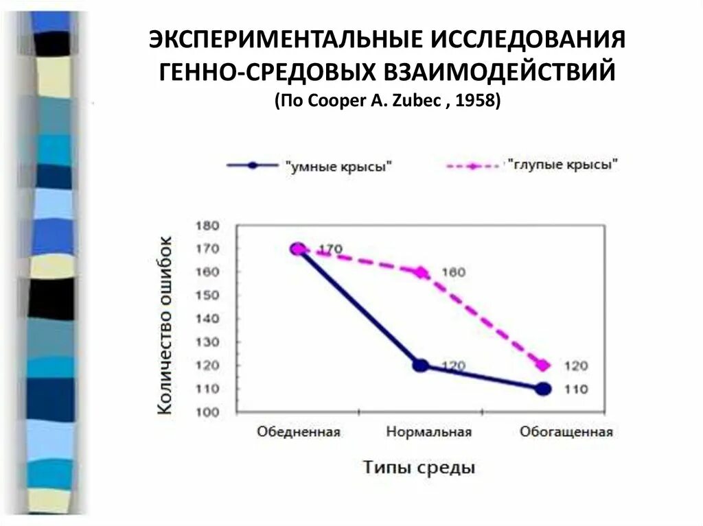 Наследственные и средовые факторы. Генно-средового взаимодействия.. Исследования генно-средовых взаимодействий (Барский ф.и.). Генетика интеллекта. Формула вклад наследственных и средовых.