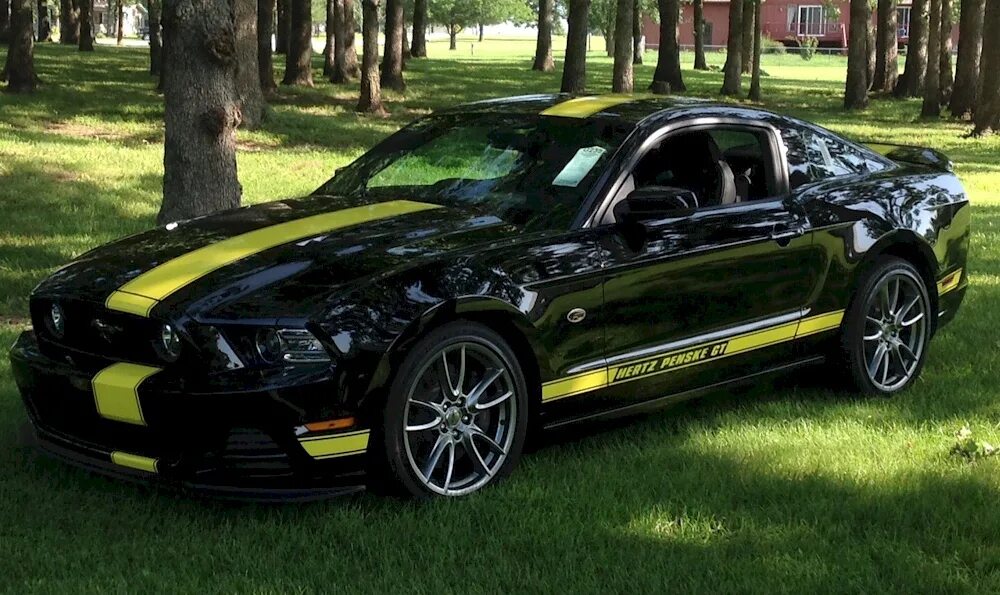 Мустанг производитель. Мустанг 2014. Ford Mustang 2014 Black. Mustang Hertz. Ford Mustang gt 900 Hertz.