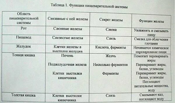 Пищеварение в ротовой полости желудке и кишечнике. Пищеварительная систематчеловека таблица. Таблица отделы пищеварительного тракта, пищеварительные железы. Органы пищеварительного тракта и их функции таблица. Таблица по биологии отделы пищеварительной системы.