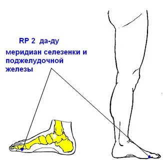 Меридиан селезенки