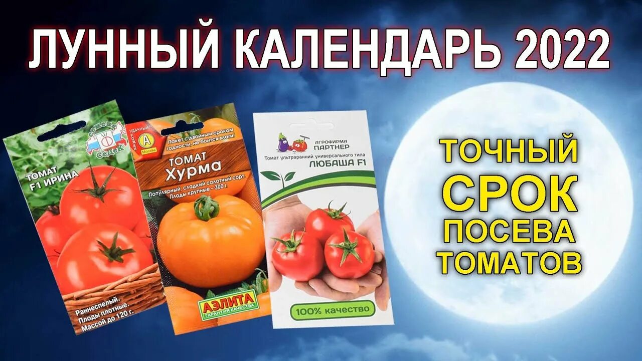 Посадить помидоры по лунному календарю 2024. Лунный календарь для посадки рассады томатов. Томат лунный. Календарь посева помидор 2022. Лунный календарь на март помидоры.