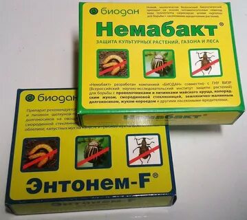 Грунт защита