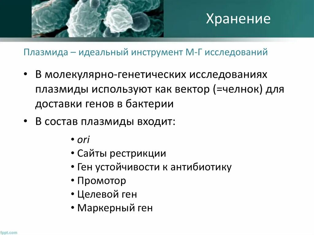 Ген резистентности. Генетика микробов. Генетика бактерий. Генетика микроорганизмов генотип. Генетика микроорганизмов презентация.