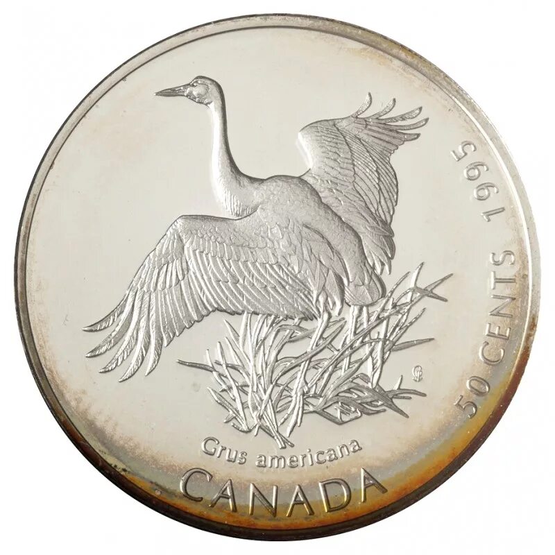 Серебряная монета 4. Канада 50 центов 1995. Канада 50 центов 1995 lagopus. Серебряная монета 50 центов. 50 Центов — птицы Канады.