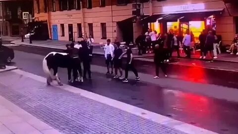 Что случилось бари