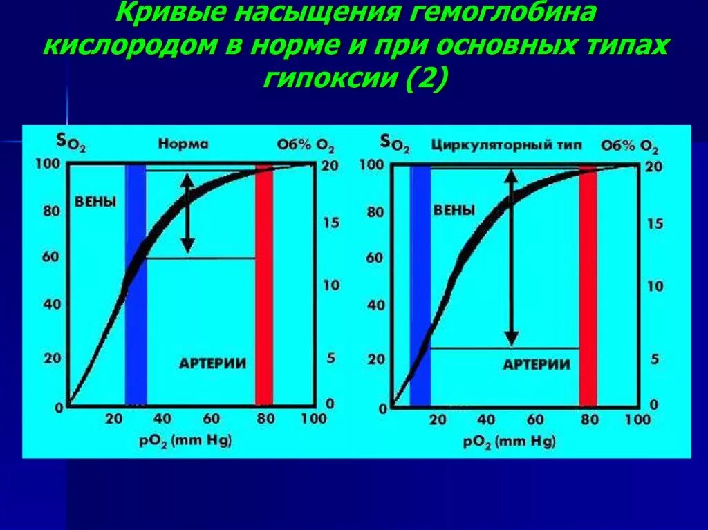 60 кислорода. Показатель насыщения гемоглобина кислородом это. Насыщение гемоглобина кислородом норма. Процентные показатели насыщения гемоглобина кислородом. Кривая сатурации гемоглобина.
