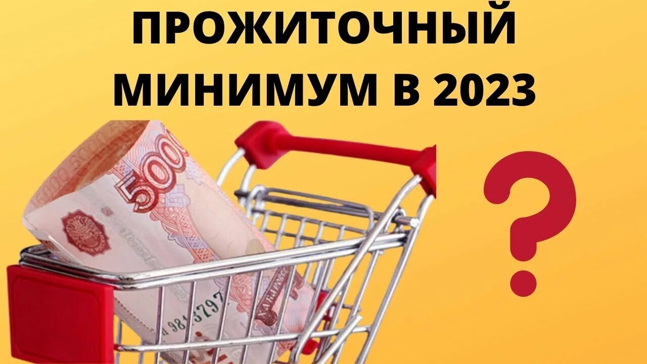 Прожиточный минимум 2023