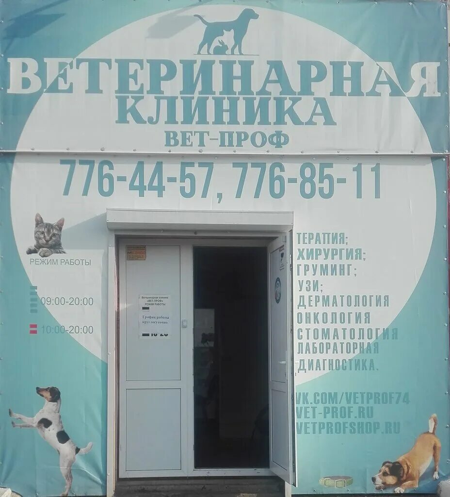 Вет проф. Трашутина 41 вет клиника. ветеринарная клиника в челябинске. ветеринарная клиника в челябинске на чтз марченко. ветеринарная клиника в челябинске круглосуточно.