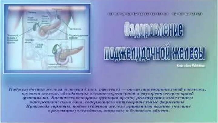 Изохронные ритмы поджелудочной железы. Мудра для исцеления поджелудочной железы. Сытин исцеление поджелудочной железы. Исцеление поджелудочной железы