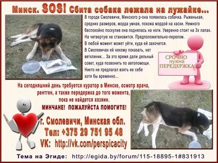Лежало форум