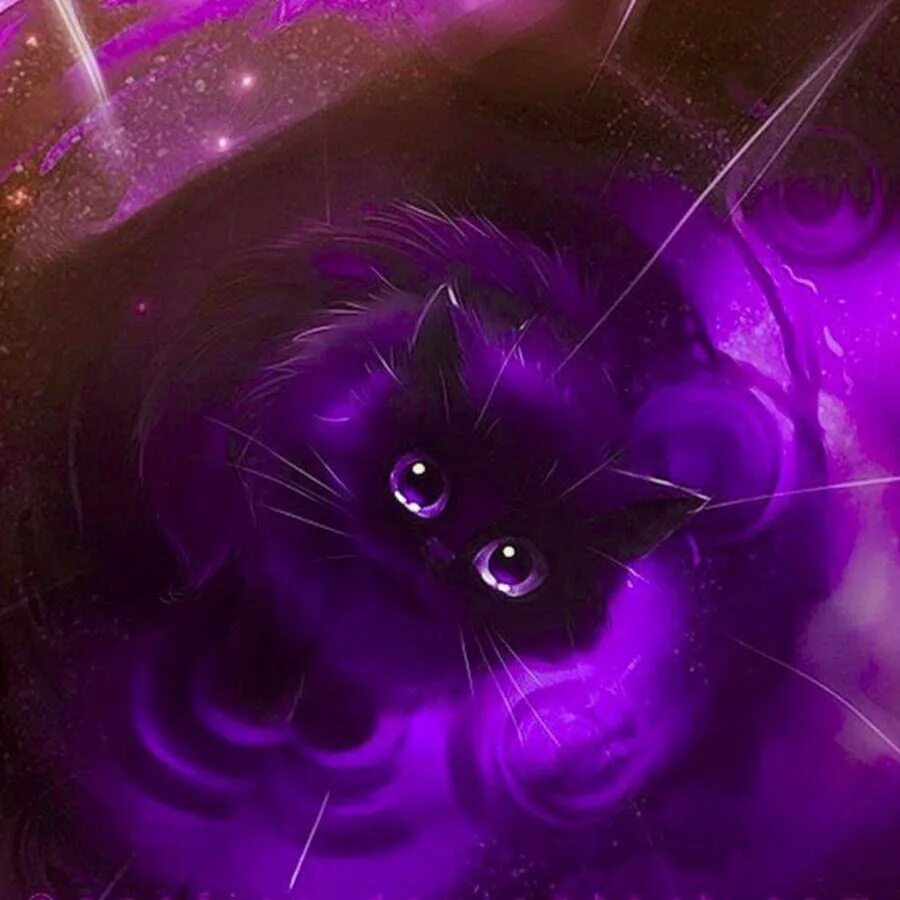 Чёрная кошка с фиолетовыми глазами. Покажи фиолетовых котиков. Фиолетовый вислоухий шотландец. Покажи фиолетовых котиков. Фиолетовые коты.