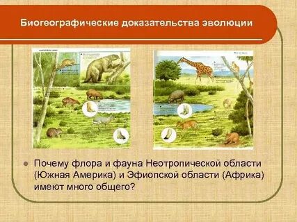 Биогеографические доказательства эволюции