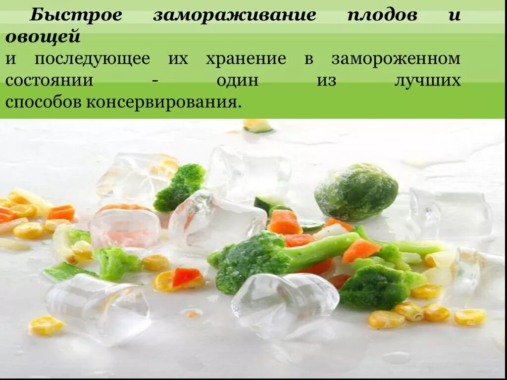 Презентация замороженной продукции. Замораживание плодов и овощей. Методы сохранения овощей и плодов. Методы хранения плодов и овощей. Комплексное использование плодов и овощей