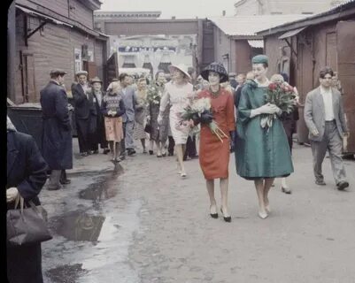 Диор 1959