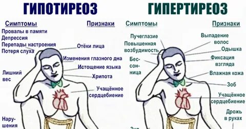 Чем опасна щитовидная железа у мужчин