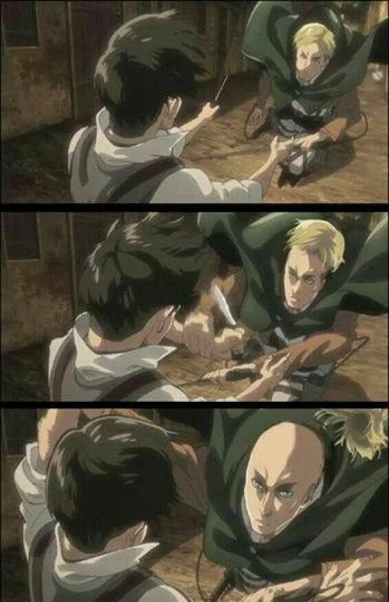 Attack on survey corp