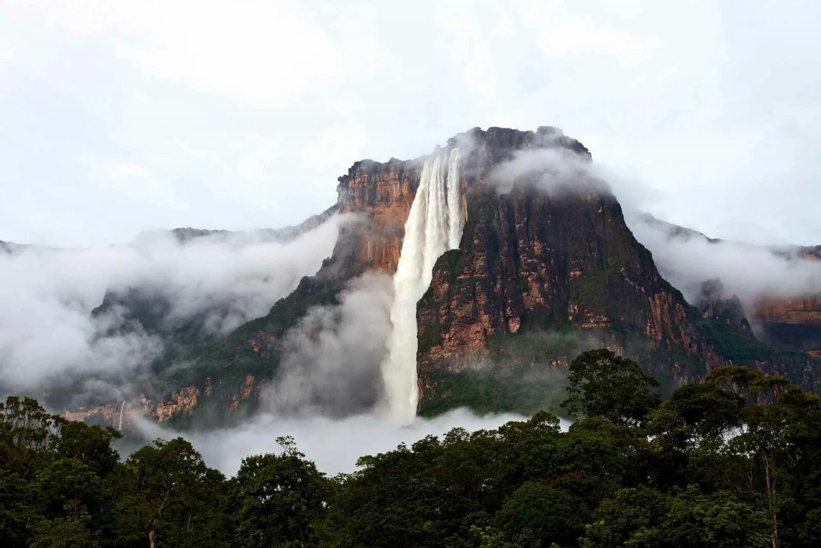 Водопад Анхель. Водопад Анхель в Южной Америке. Венесуэльский водопад Анхель. Водопад сальто Анхель Венесуэла. Водопады по высоте в мире