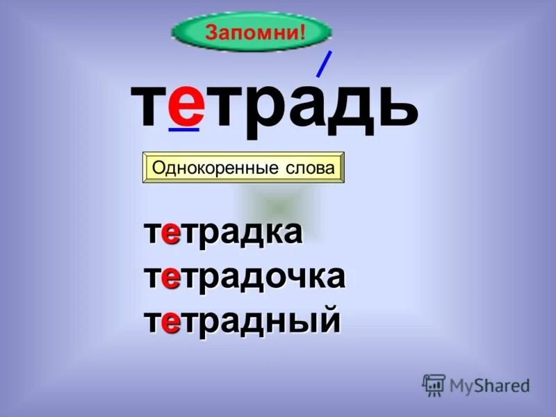 Род слова тетрадь