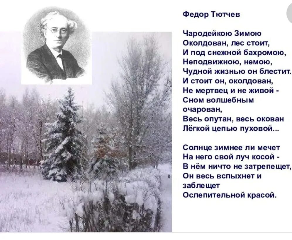 Пушкин тютчев некрасов. Фёдор Тютчев стих Чародейкою зимою. Стихотворение ф Тютчева Чародейкою зимою. Стих ф Тютчев Чародейкою зимою.