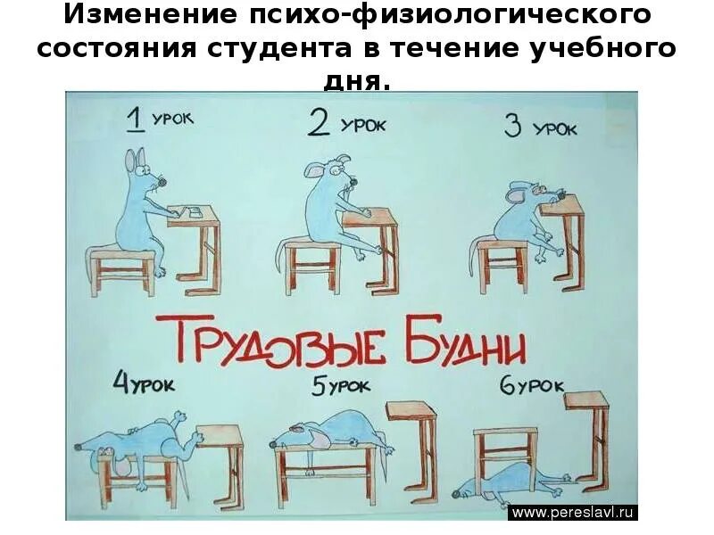 Первой учебной недели. Прикольные шутки про студентов. Анекдоты про студентов. Приколы про учебу. Начались трудовые будни.