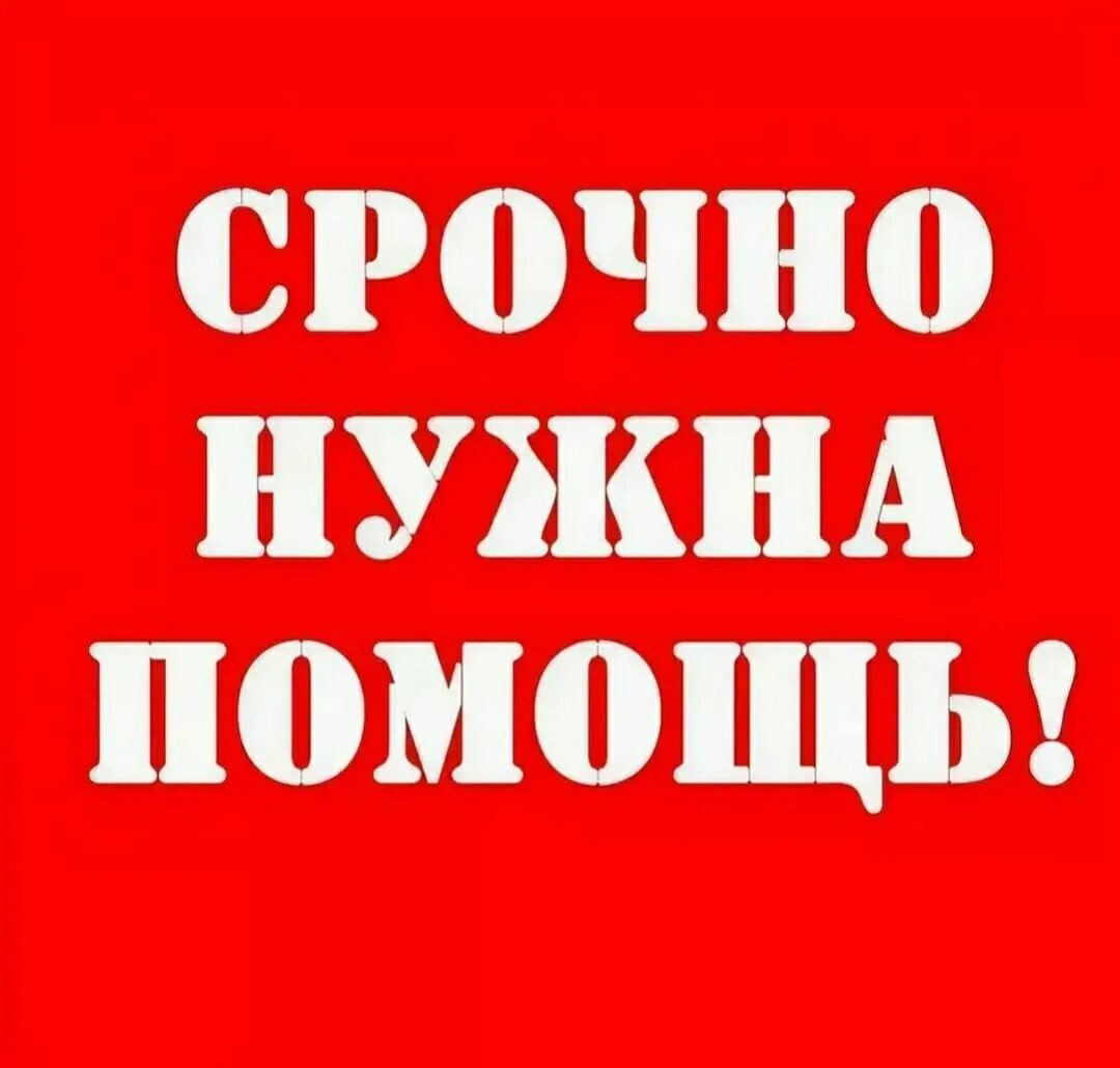 Просим помочь. Нужна помощь. Срочно нужна помощь. Срочно нужна помощь картинки. Очень срочно нужна помощь.