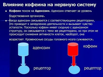 Механизм действия на организм