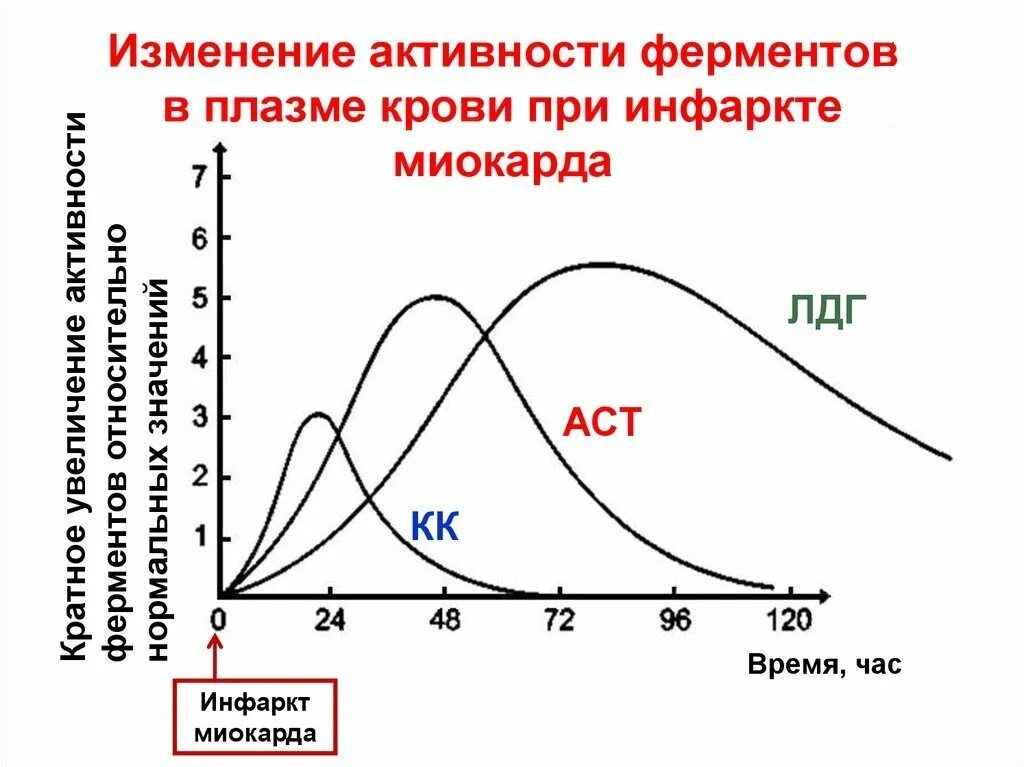 ферменты миокарда. исследование ферментов крови при инфаркте миокарда. ферменты миокарда. изменение активности ферментов в крови при инфаркте миокарда. динамика кардиоспецифических ферментов.