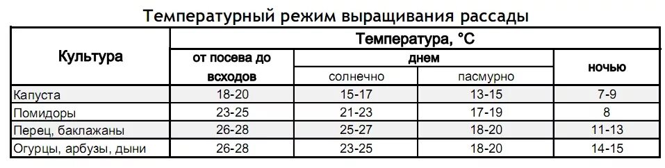 При какой ночной температуре можно высаживать. Температура для рассады томатов в теплице. Температурный режим для рассады томатов в теплице. Оптимальная температура для высадки рассады томатов. Температурный режим для перцев и томатов в теплице.