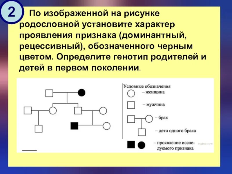 Родословная по признаку. Задания на родословную. По изображенной на рисунке родословной. По изображен6ой на рисункеродословной.