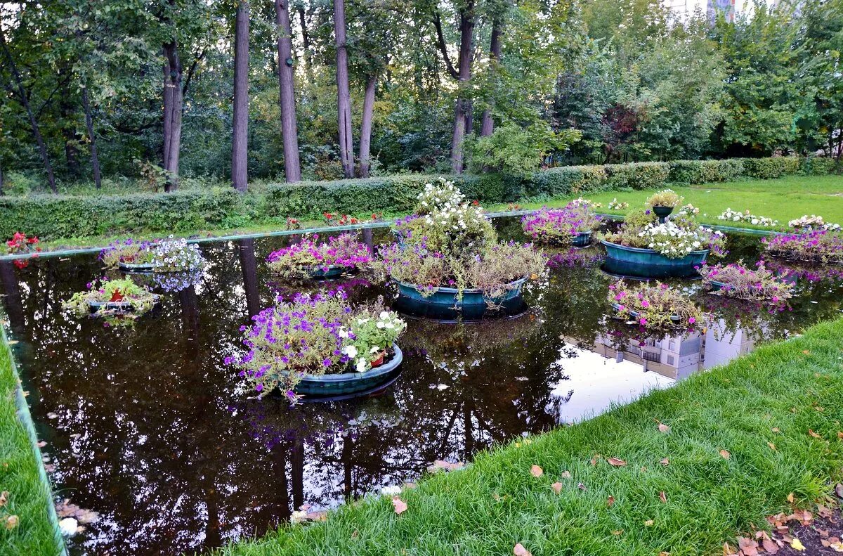 красивый сад. сад трокадеро пруд. цветочный пруд. флауэрс гарден. суйго савара: водный сад ирисов в японии.