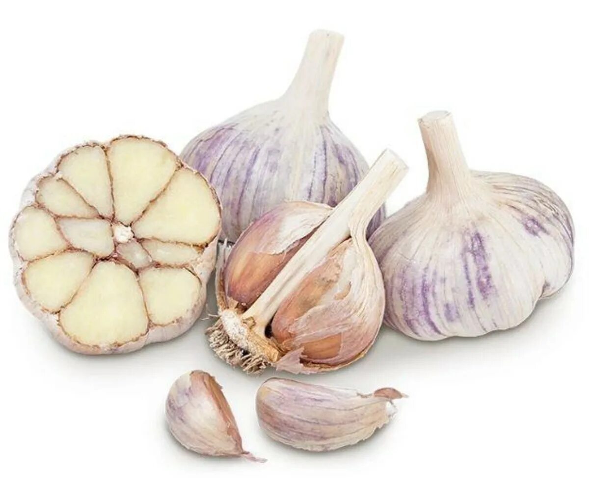 чеснок - allium sativum. нарезанный чеснок. срез чеснока. головка чеснока. долька чеснока.