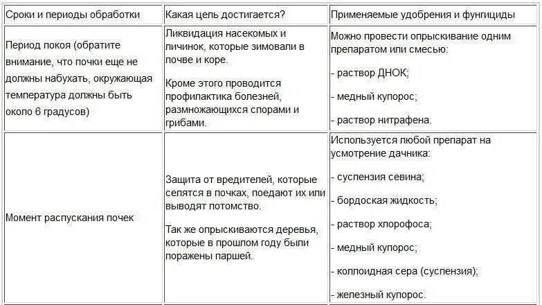 При какой температуре опрыскивать деревья бордосской жидкостью