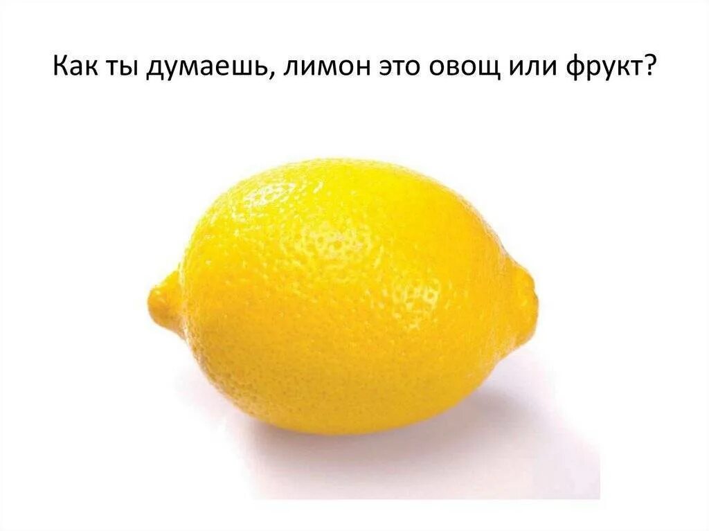 Лимон это овощ или ягода. Фрукты лимон. Лимон это фрукт или овощ. Лимон это ягода. Лимон это овощ.