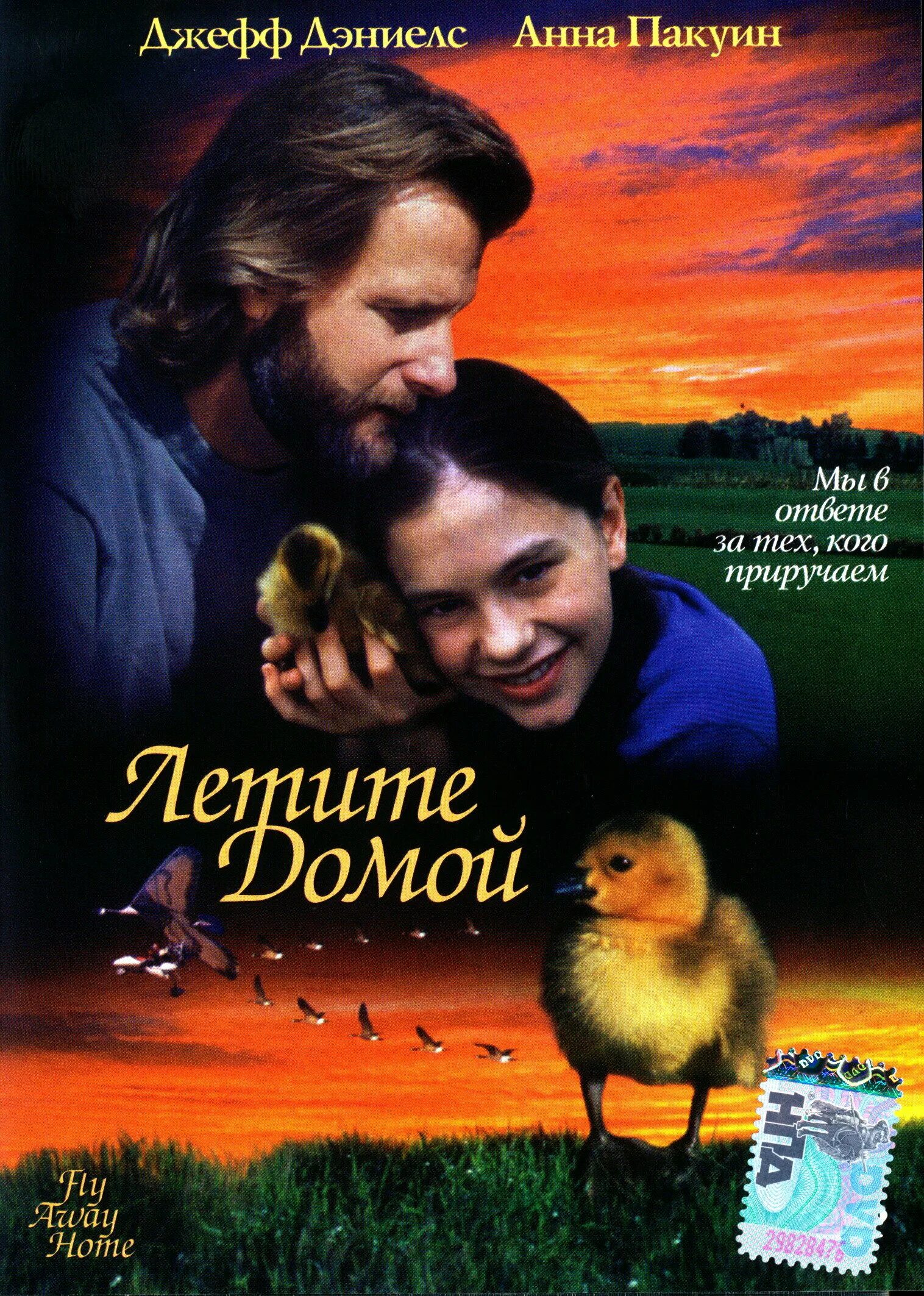 Возвращение / homecoming. 1996. Летите домой 1996. Летите домой 1996. Летим домой.
