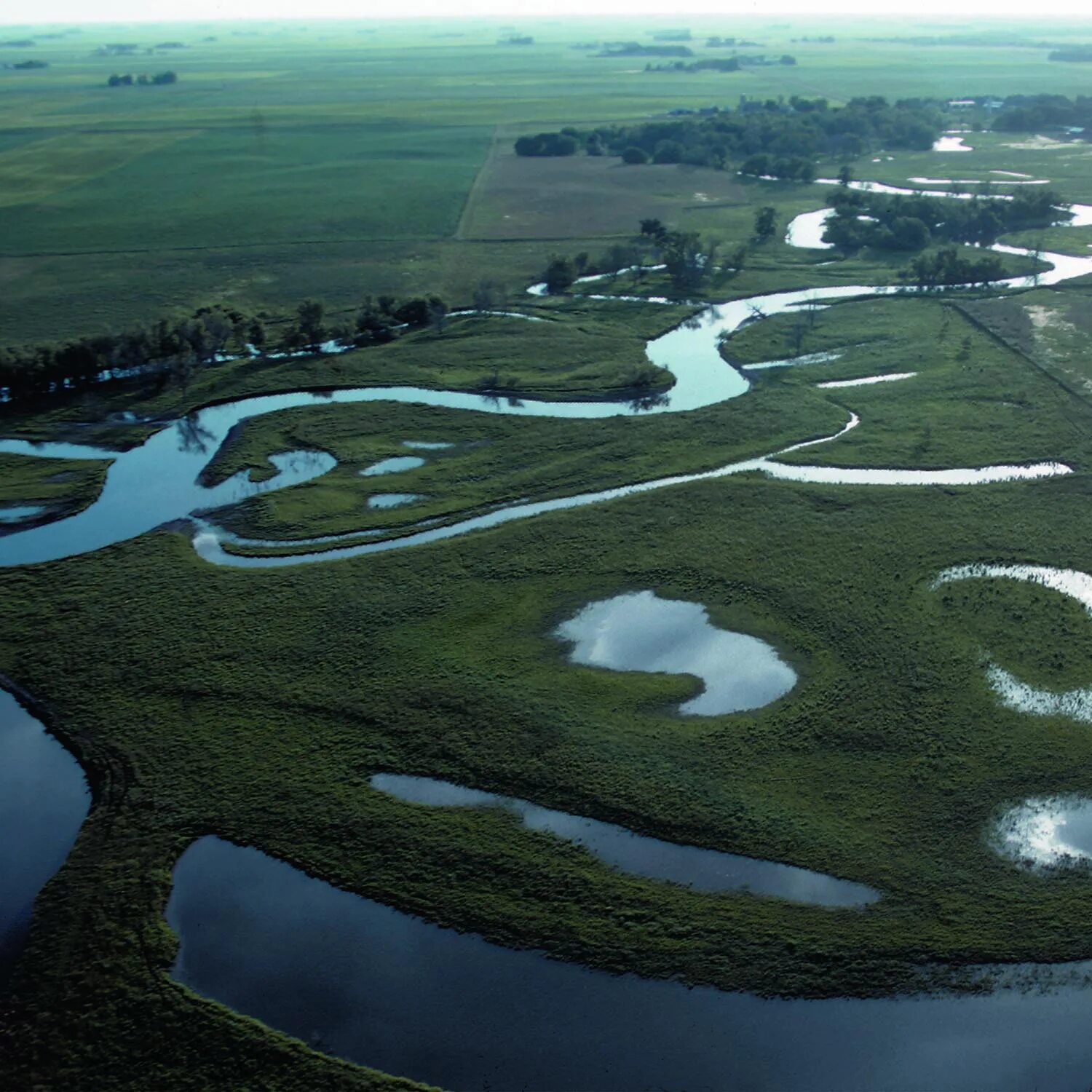 Водно Болотное угодье. Заповедник Wetlands. Водно-болотные угодья Ибера. Водно-болотный заповедник Sungei Buloh.