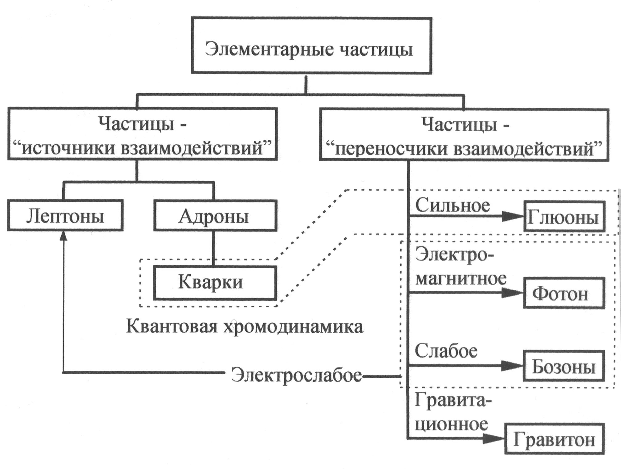 Стандартная модель элементарных частиц схема. Элементарные частицы физика схема. Элементарные частицы классификация элементарных частиц. Схема взаимодействия элементарных частиц. Фундаментальная элементарная частица