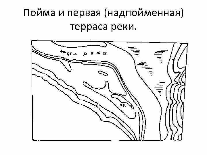 Пойма что это такое. Пойма надпойменная терраса. Пойменные и надпойменные террасы. Надпойменная терраса реки это. Элементы надпойменной террасы.