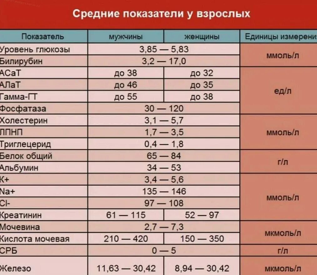 Высокое содержание в крови. Биохимические показатели крови норма. Показатели биохимического анализа крови расшифровка у женщин. Расшифровка анализа крови биохимический у взрослых таблица. Таблица биохимического анализа крови с расшифровкой у мужчин норма.