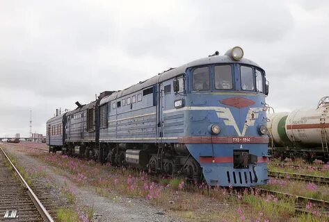 Тэ три