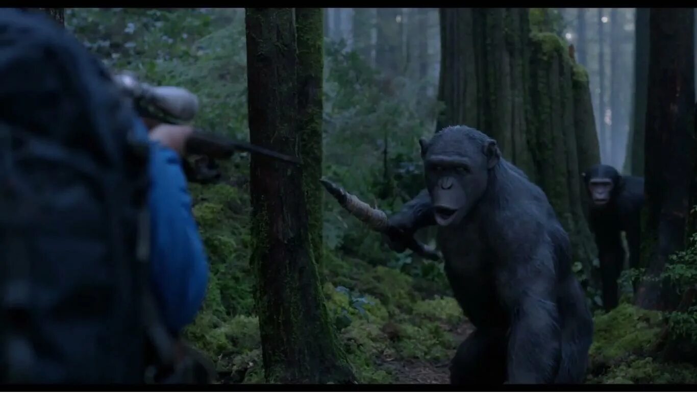 планета обезьян морис.