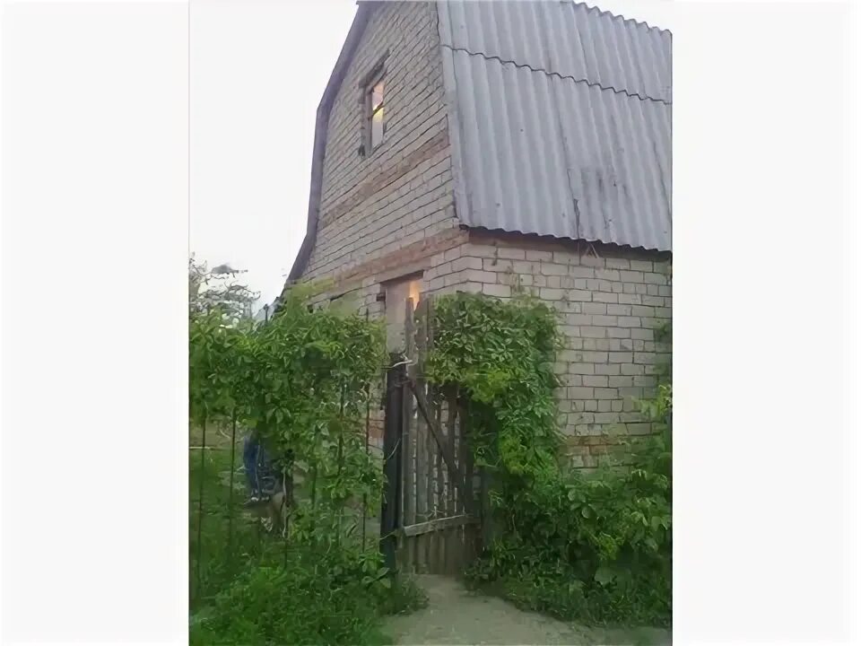 Снт нежинские сады. Снт нежинские сады. Деревня золотово. Шуравина 83 осинова. Снт аэропорт 2 оренбург.
