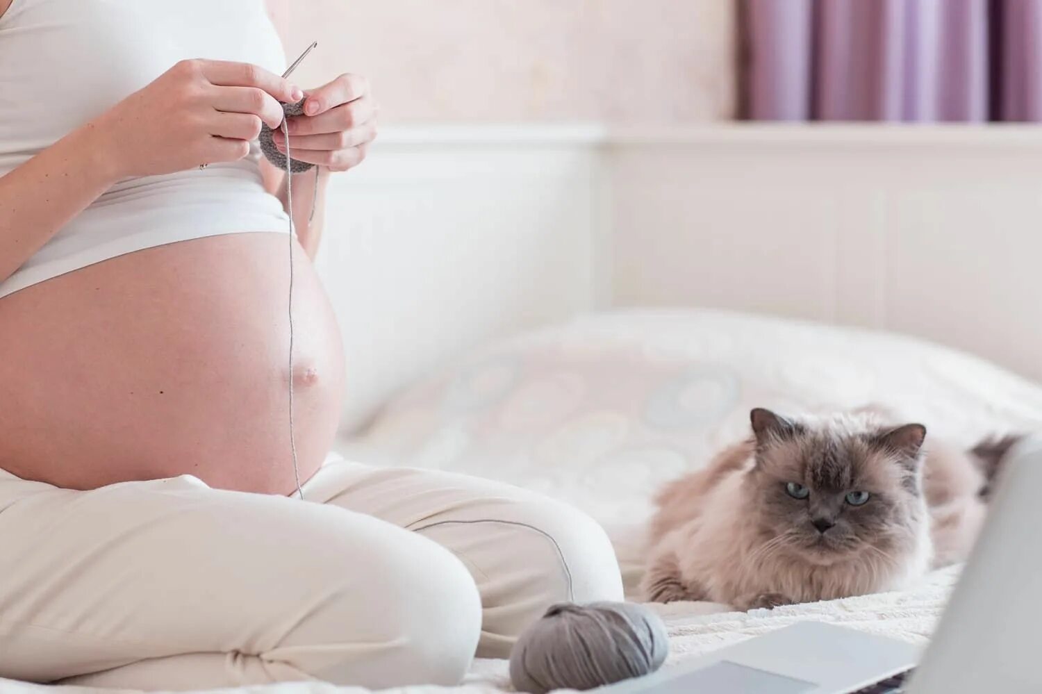 Сон беременной котенок