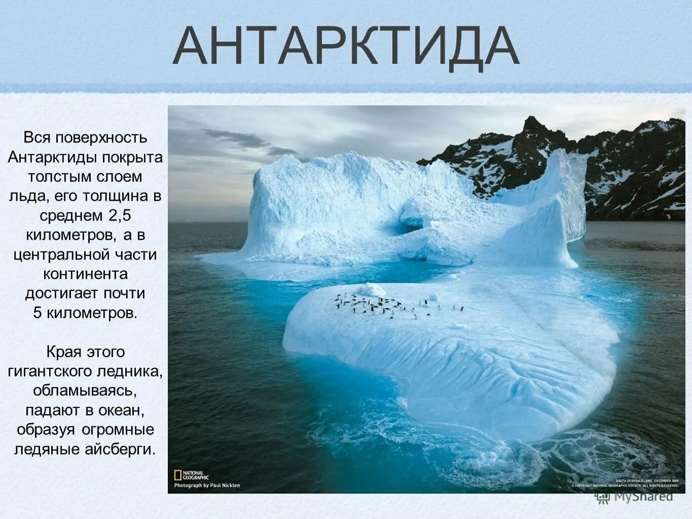 Текст про лед. Тема Антарктида. Антарктида проект. Антарктида презентация. Сведения о Антарктиде.