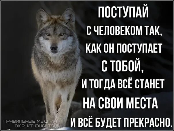 Может быть так есть. Как вы уо мне так и я к вам. как вы ко мне так и я к вам. как вы со мной так и я с вами цитаты. как ко мне так и я цитаты.