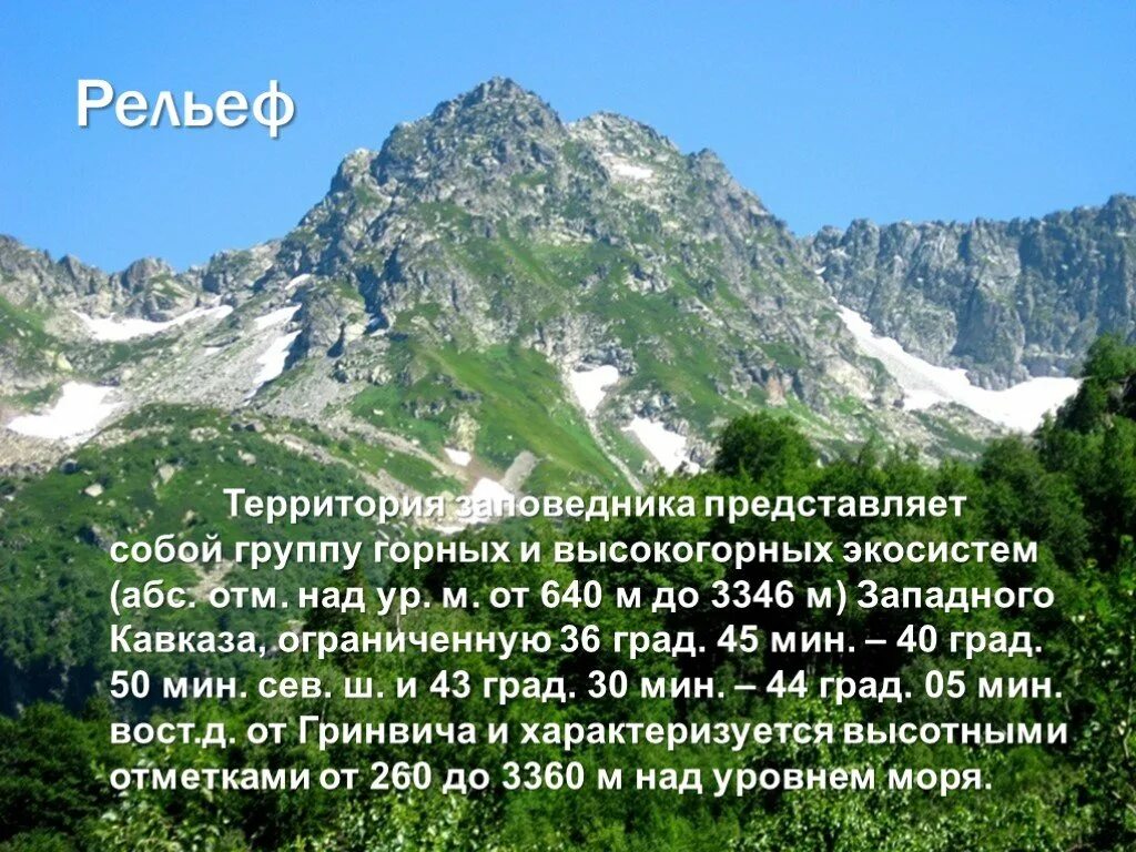 Какие богатства есть в краснодарском крае. Заповедники Кавказа. Заповедники Кавказа презентация. Заповедники Северного Кавказа. Кавказский заповедник информация.