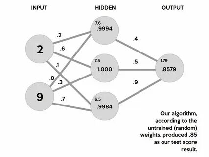 Python network