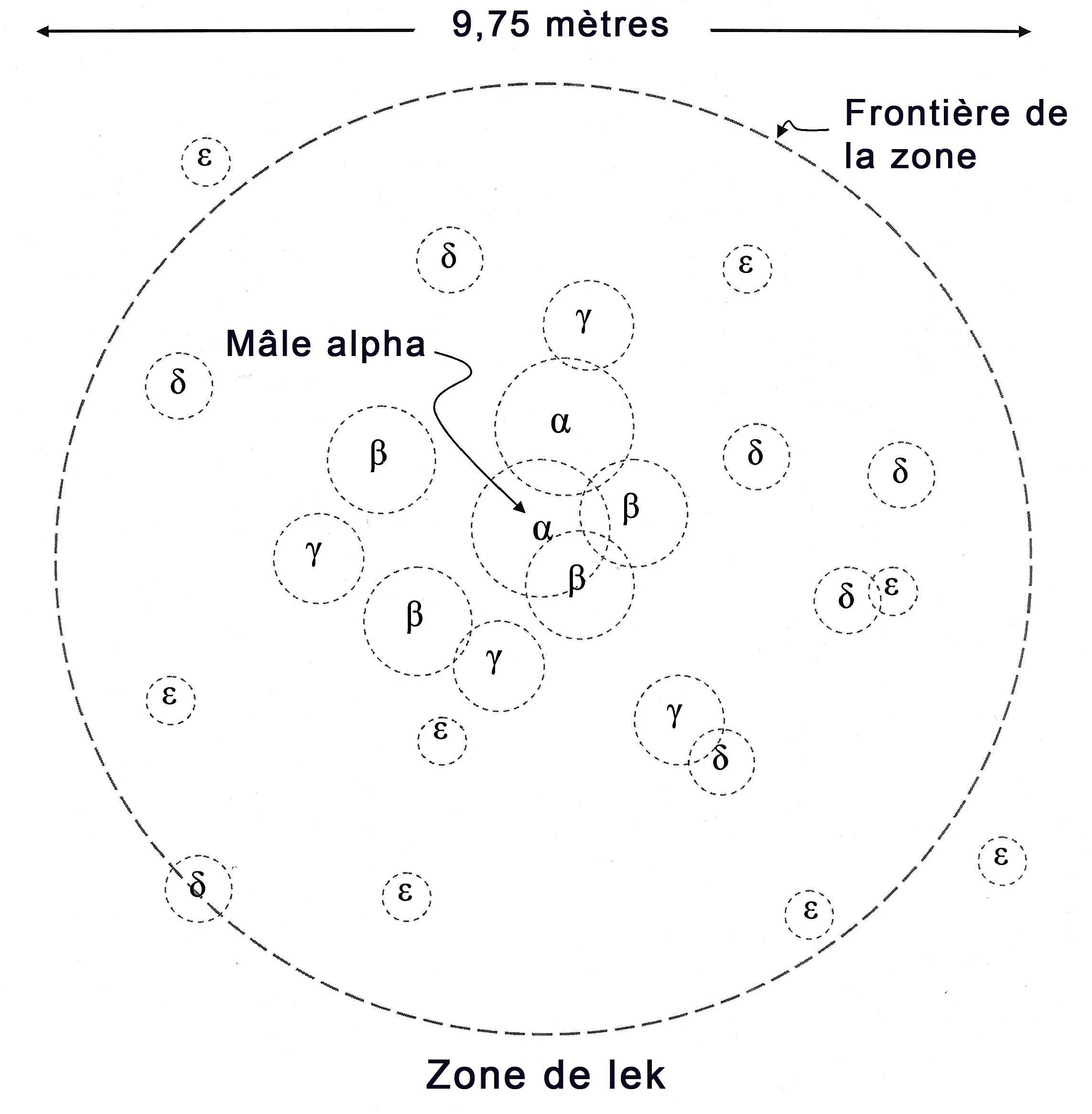 Interact entry boundaries. Interact entry boundaries