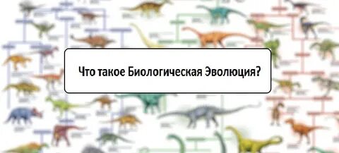 Биологическая система эволюции