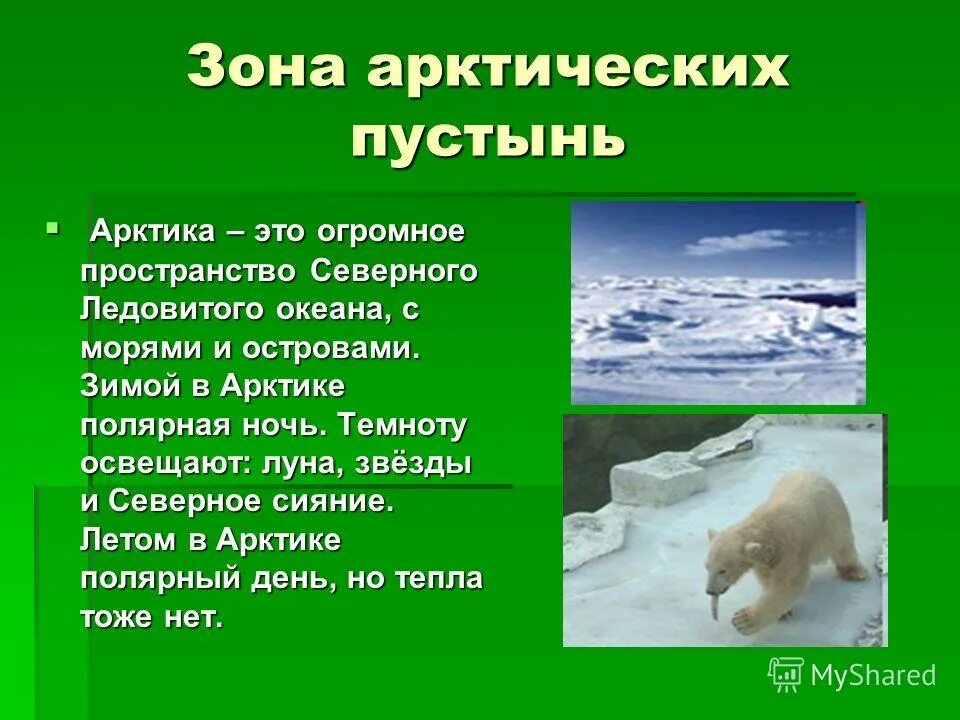 Конспект урока арктические пустыни 4 класс. Конспект урока арктические пустыни 4 класс